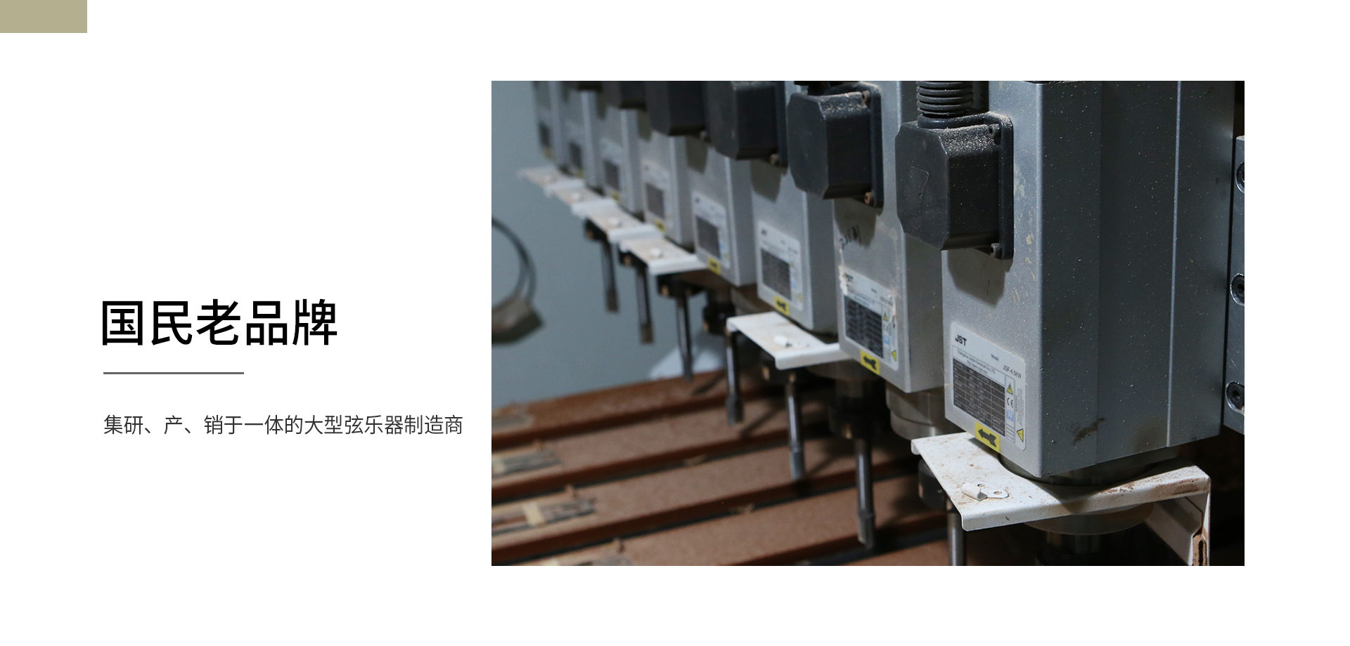 公司介绍